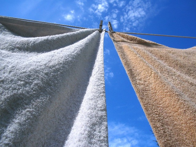 hang towels